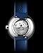 CIGA Design Mechanical Automatic Watch Blue Planet U Series Stainless Steel/Titanium/Ceramics Case Sapphire Crystal Fluororubber/Ceramics Strap Watches Gifts for Men and Women (Blue Planet Ⅱ 43MM Stainless Steel)