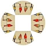 Juego de 4 manteles individuales de cuña de pájaro de color, resistentes al calor, 4 cuñas, lavables y lavables, de plástico, para comedor, cocina, fiesta, comedor