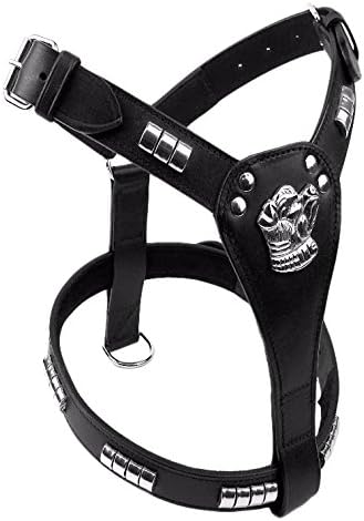 Staffordshire Bull Terrier Chrome Studded Leather Dog Harness, Black