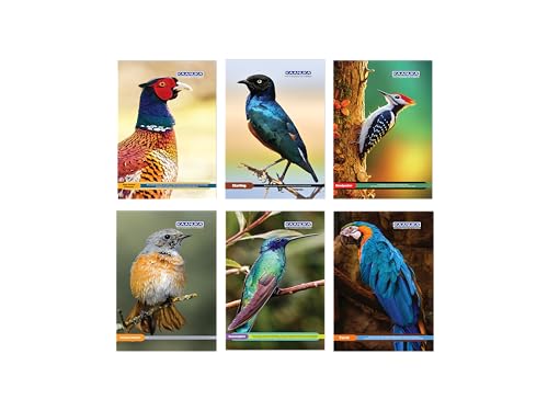 Image of KAANUKA Long Size Notebook - 300 Pages, Unruled, Plain, Long Size - 27.2cm X 16.7cm, Pack Of 6 Notebooks, Long Size Unruled Notebooks for School and College Students