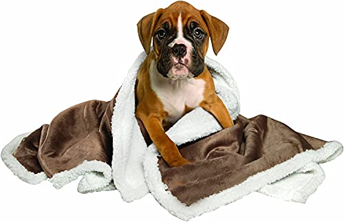 Image of Petslover Blanket for Dogs Cat, Warm Flannel Plush Pet Bed Blanket Reversible Brown (Medium)