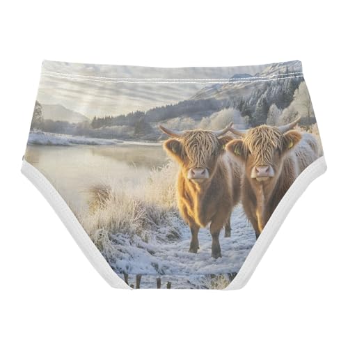 Two Highland Cows Winter Snow Toddler Girls's Underwear 2T 202b86182