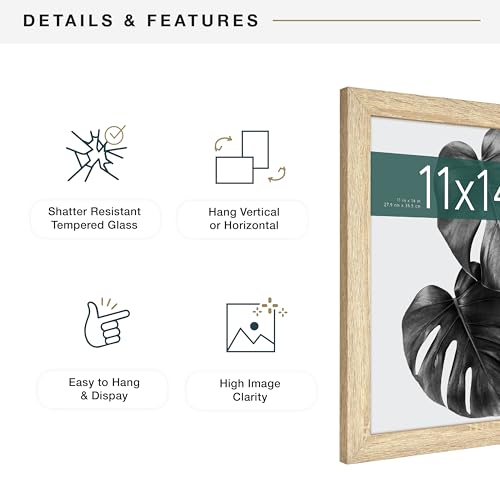 MCS Studio Gallery 11x14 Picture Frame Natural Woodgrain, Rectangle Photo Frame for Photos, Posters & Art Prints (2-Pack)