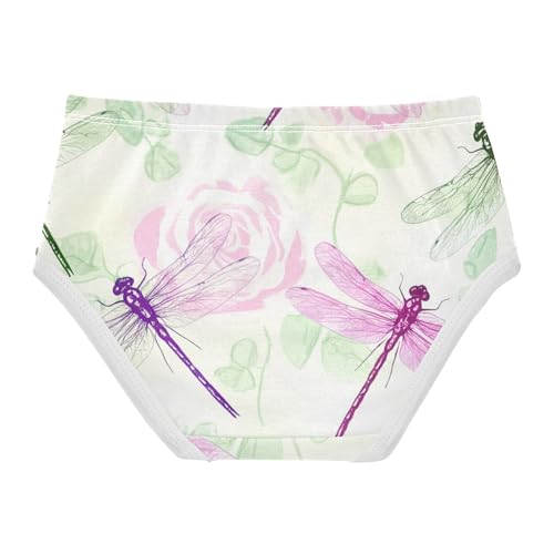 Dragonflies Pale Pink Roses White Girls Underwear Toddler 2t Cotton Girl Panties Cute Artistic Kids Undies Briefs2