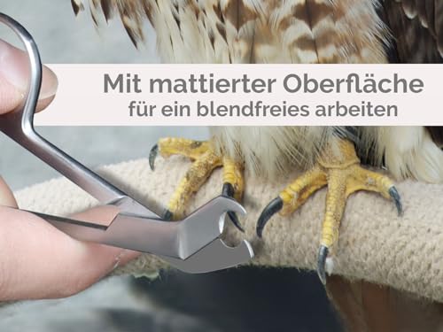 Vogel Krallenschere Krallenzange abgewinkelter Krallenschneider 9 cm - Krallen kürzen von Papageien Sittiche Wellensittiche Kleintiere - Rostfreier Edelstahl - Markenqualität vom Fachhandel