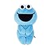 JMHomeDecor Sesame Street Peluche Bambola Giocattoli Sesame Street Elmo Ernie Bert Figure Hug Serie Peluche Bambola Regalo di Compleanno Giocattoli 10-20 Cm-20_Cm_Cookie_Monster