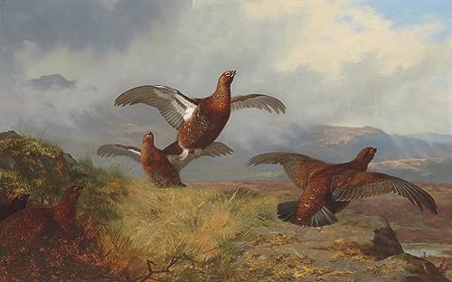 Affiche Tétras en vol Archibald Thorburn - Impression sur toile pour salon 60x90cm