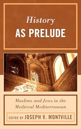 History as Prelude: Muslims and Jews in the Medieval Mediterranean-Wow! eBook