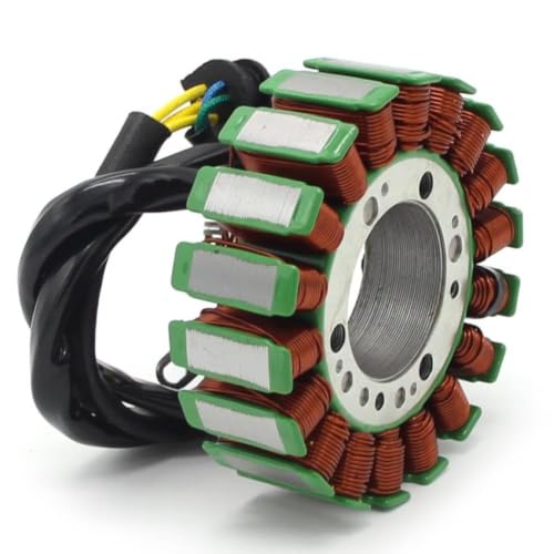 Estator de encendido S31120RCA000 compatible con DS 250 2008-2016 4