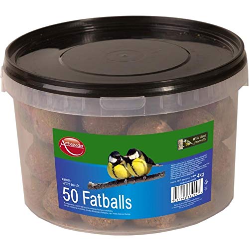 Ambassador Fat Balls