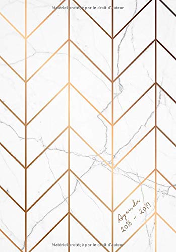 Télécharger Agenda 2018-2019: Agenda Semainer de Juillet 2018 à Août 2019, A5, motif motif abstrait marbre PDF Ebook En Ligne