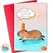 Elavfun 1 Pack Funny Capybara Birthday Card with Envelopes & Stickers, Assorted “Capy Birthday” Animal Pun, 9 Unique Designs, 4x6", for Capybara Lover Gifts, Capy Themed B-day Party Favor (Orange&Swimming)
