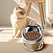 Elevated Cat Bowl Pet Feeding Dish Pet Dog Feeder 16° Tilted Bowl