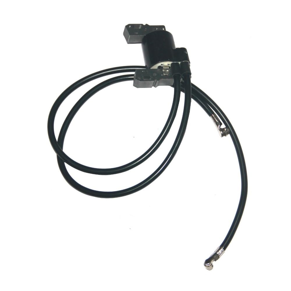 Bobine d'allumage haute isolation pour moteurs de motoculture 42E707 42E777