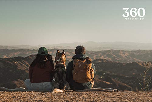 360 Pet Nutrition Freeze Dried Chicken Liver Raw Single Ingredient Treats, Made In The Usa, 4 Ounce (Chicken Liver) #TOP4