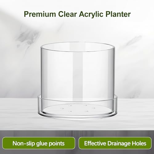 Macetas transparentes con drenaje de acrílico para controlar el riego de raíces de orquídeas 7