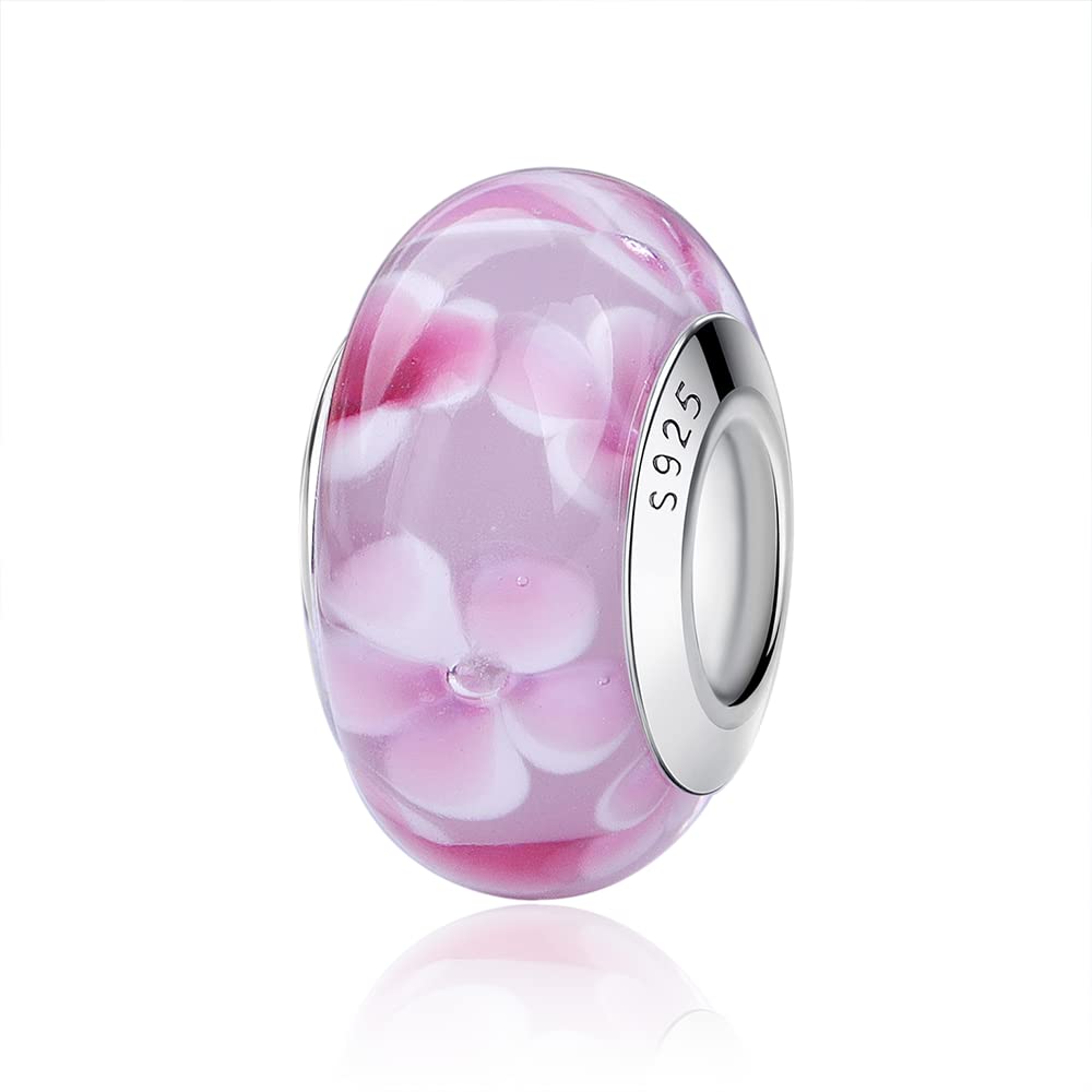 Nbsameng Murano Glass 925 Sterling Silver Charms Bead Fit Pandora