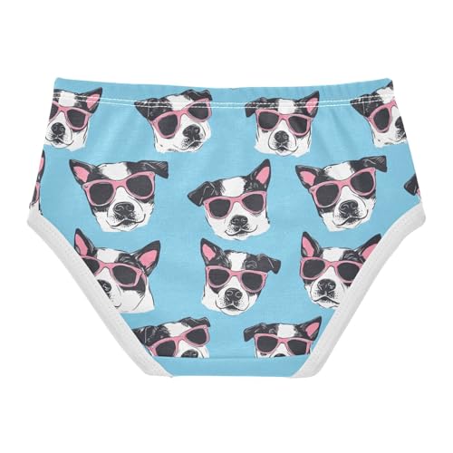 ZZKKO Sunglasses Dog Head Blue Girls Underwear Toddler Panties for Girls Comfort Brief Size 2T-8Y2