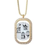 Collar con colgante con diseño de jaula de pájaros y diamantes de cristal dorado