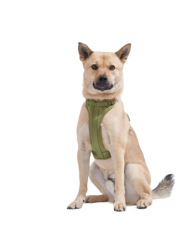 Wild One 犬用 首輪、ハーネス、リース 3点セット Amazon | Wild One犬用ハーネス、引っ張り防止ペットハーネス、3つの