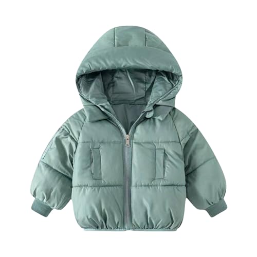 wodceeke Toddler Boys Girls Down Puffer Jacket Winter Coats with Hood Kids Lightweight Hooded Padded Warm Outwear
