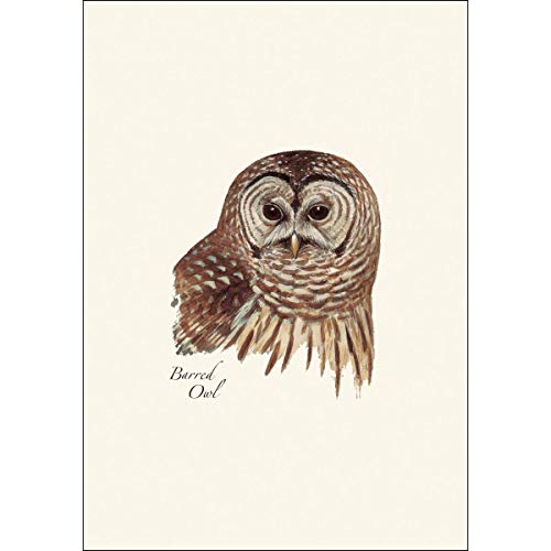Eartearth Sky + Water - Peterson’s Owl Assortment Notecard Set - 8 Blank Cards With Envelopes (2 Each Of 4 Styles) #TOP3