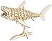 Rolife Build Your Own 3D Wooden Assembly Puzzle Wood Craft Kit Shark Model, Gifts for Kids and Adults