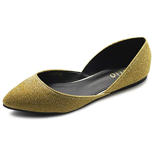 Glitter Pointed Toe Ballet Flats for Women: Ollio Casual Comfort F112
