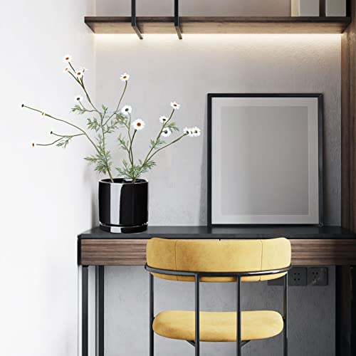 Aveyas 6 Inch Ceramic Planter Pot With Drainage Hole & Saucer, Glazed Mid Century Modern Cylinder Small Plants Pot For Indoor Desk Decorative Snake Flower Succulents Pots (6In Shiny Black) #TOP1