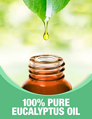 Ethereal Nature 100% Pure Oil, Eucalyptus, 1 Fluid Ounce (30 Ml) #TOP3