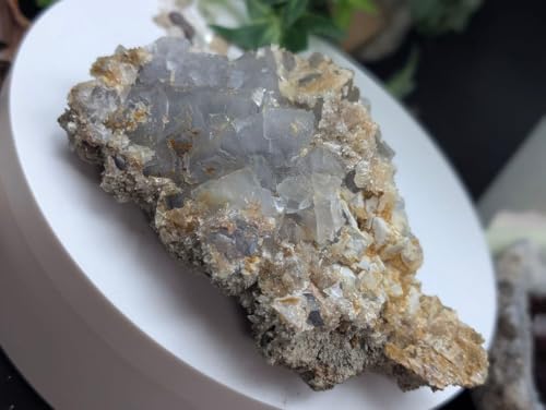 374g 傫 u t[Cg z 敨W{ YL214