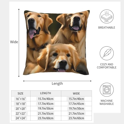 Coussin Golden Retriever : housses décoratives EdWal pour lit