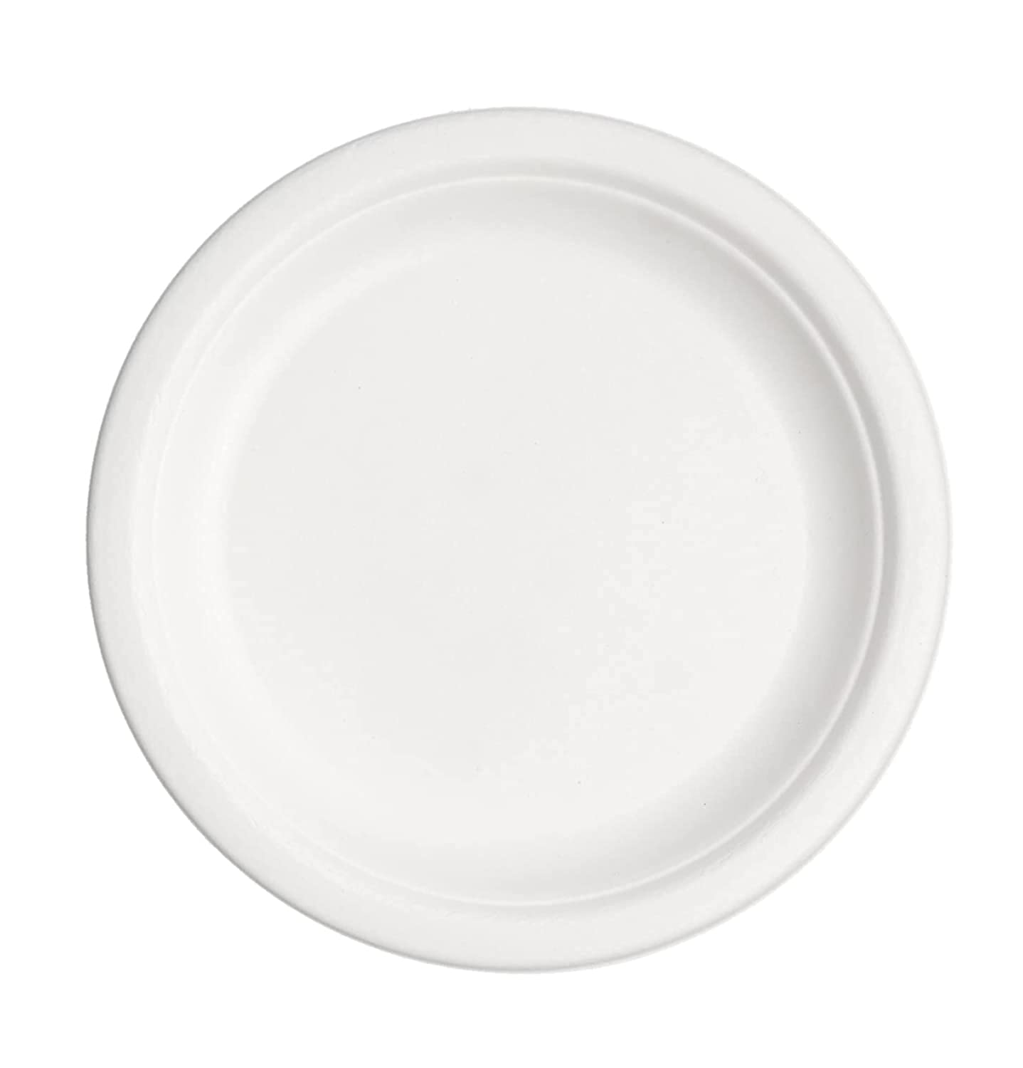 SWHF 10 inches Disposable Plates Pack of 100 Ecofriendly