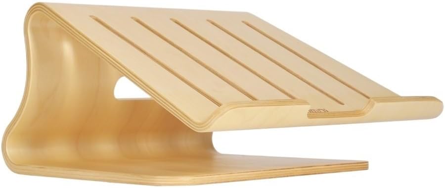 Laptop Stand with Low Heat Sink and Cooling Bracket(White-Dinosaur Doodle4)