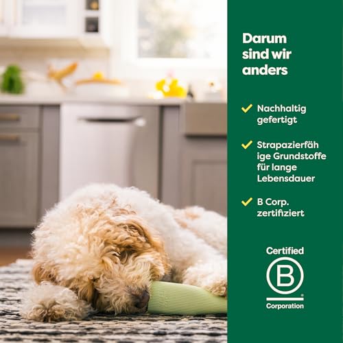 Earth Rated Kauspielzeug, bereicherndes Spielzeug für ausgewachsene Hunde und Welpen, geeignet für Spülmaschine und Gefrierfach, aus Naturgummi, groß, grün
