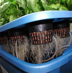 Stealth Hydroponics Bubbleponics Pro II - 24 Planter