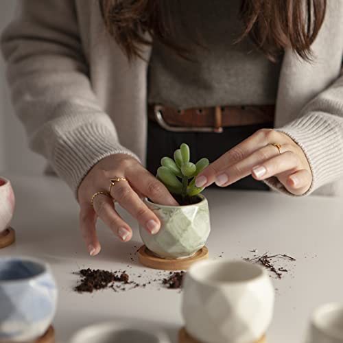 Ilohaus Succulent Pots Set Of 6, Plant Pots Indoor, Succulent Planters, Small Plant Pots, Cactus Pot, Cute Plant Pots, Small Flower Pots, Small Succulent Pot, Small Planter Set #TOP7