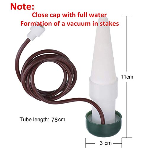 HESTYA 8 Pack Plant Self Watering Stakes Insert Automatic Watering Devices Self Watering Spikes Indoor Outdoor Plant Watering for Vacation