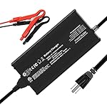 Power Queen 14.6V 10A LiFePO4 Battery Charger, 2-Stage Automatic Smart Battery Charger and Maintenance, LiFePO4 Lithium…