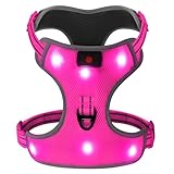 DOMIGLOW Light Up Dog Harness - Safety LED Dog Vest, No-Pull LED Dog Harness, Rechargeable Glowing Pet Vest Light for Night Walking Camping (Pink, Small)