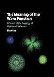 wave functions of orbitals  The Meaning of the Wave Function: In Search of the Ontology of Quantum Mechanics