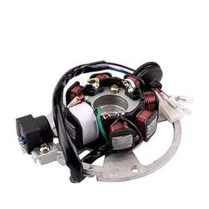 Yangjiahong Motorrad Stator Magneto Generator Spule Fit for 2 Takt Roller Yamaha Jog 50 CG50 GY50 CE50 ATV Buggy quad