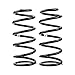 ARB 2895 Old Man Emu Coil Spring
