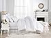 Swift Home All-Season Extra Soft Luxurious Classic Light-Warmth Goose Down-Alternative Comforter, 104
