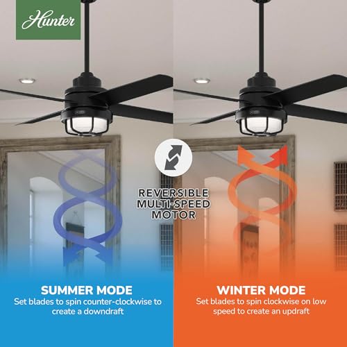 Image of Hunter Searow, Outdoor or Indoor, Ceiling Fan, Quiet, 54 inch, Matte Black