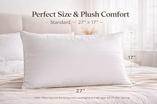 Image of Goose Feather Pillow Pack of 2 (20x36 in, King) | Premium Goose Feather Filling | Soft, Fluffy Hotel Quality | Breathable Cotton Cover | Medium Firm Support | White