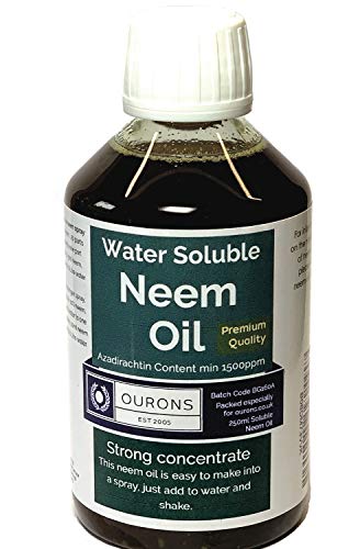 OURONS - Aceite de neem soluble en agua, concentrado fuerte, diluir para hacer hasta 25 litros de neem planta y spray de mosca
