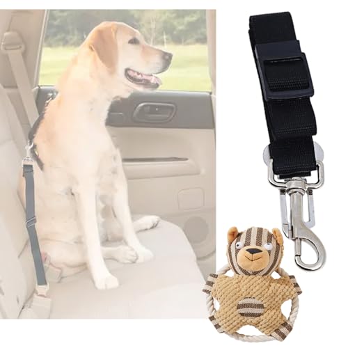 j pV[gxgAԗp[hAXvbVh~A\h~AV[gxgAe͐Aybg̉^]xgA75Z`߉\AtȒPAԐp[vAsAԍڌ[vAԃV[gxgAیA̎ԗpiAybgtEAʂ