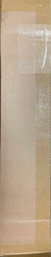 M1847-194-148】エレキギター初心者セット ミニアンプ付き HISTORY HST