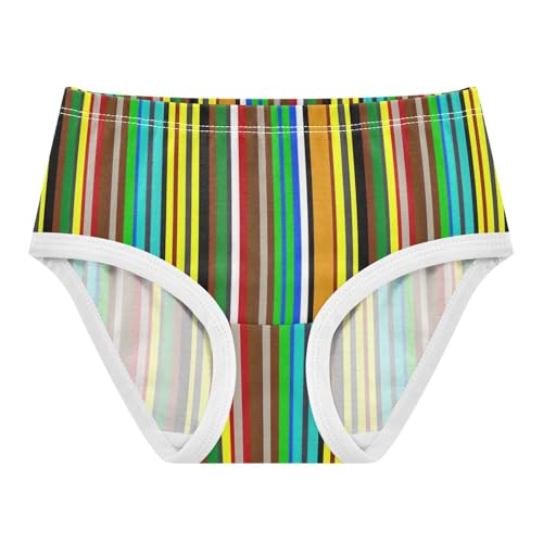 Joisal Cotton Toddler Underwear Floral Chic Colorful Stripes Little Girl Panties Designer Undies Kids Briefs 2t